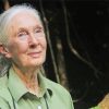 Jane Goodall paint by number