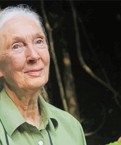 Jane Goodall paint by number