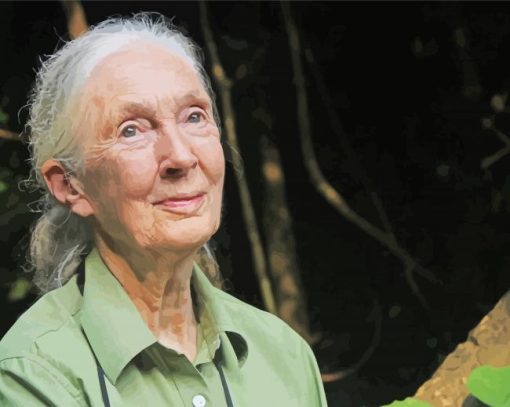 Jane Goodall paint by number