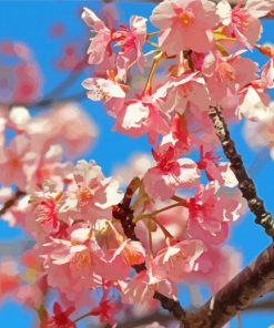 Japan Tree paint by number