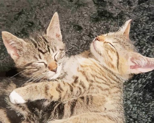 Kittens Sleeping paint by number