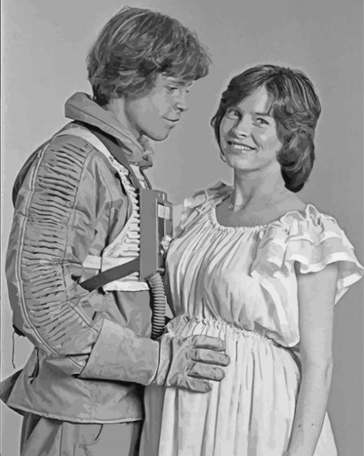 Mark Hamill And His Wife paint by number