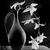 Monochrome Flower Still Life paint by number