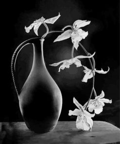 Monochrome Flower Still Life paint by number