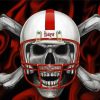 Nebraska Huskers Skull paint by number