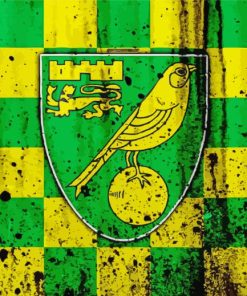 Norwich City Football Club Logo paint by number