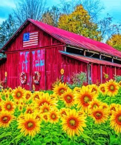 Old Red Barn And Sunflowers paint by number