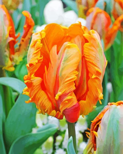 Orange Parrot Tulip paint by number