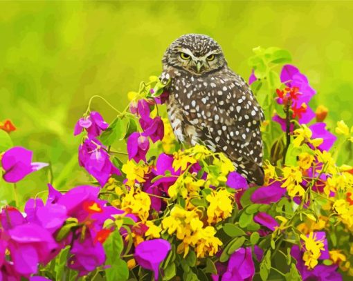 Owl Bird With Flowers paint by number