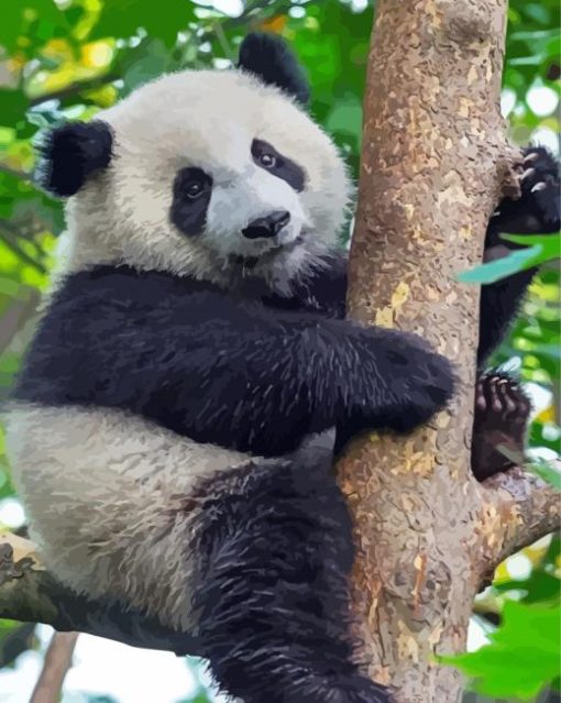 Panda On Tree paint by number