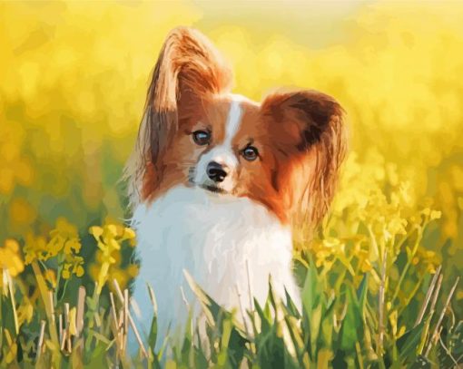 Papillon Dog In Grass paint by number