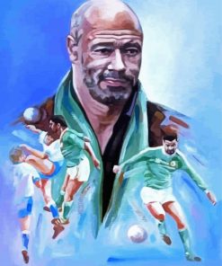 Paul Mcgrath Art paint by number