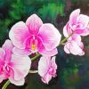 Pink Orchids Art paint by number