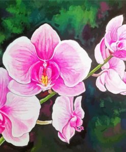 Pink Orchids Art paint by number