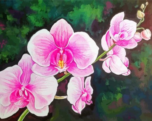 Pink Orchids Art paint by number