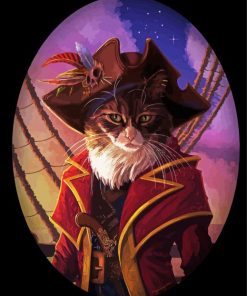 Pirate Cat paint by number