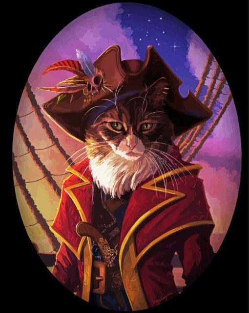 Pirate Cat paint by number