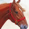 Quarter Horse paint by number