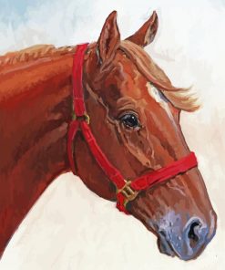 Quarter Horse paint by number