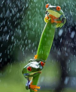 Red Eyed Frogs In The Rain paint by number