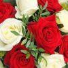 Red And White Roses Flowers paint by number