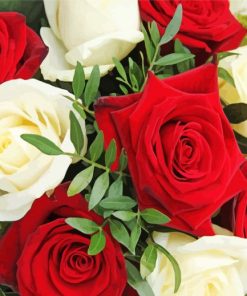 Red And White Roses Flowers paint by number