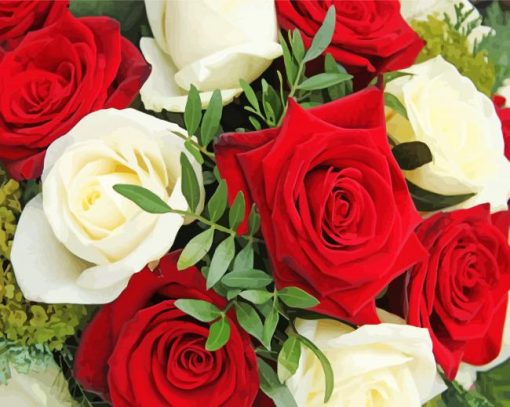 Red And White Roses Flowers paint by number