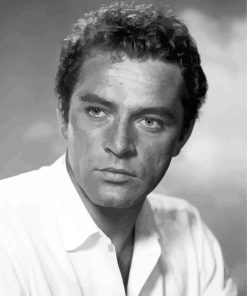 Richard Burton paint by number