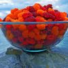 Salmonberry In Bowl paint by number