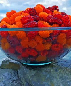 Salmonberry In Bowl paint by number