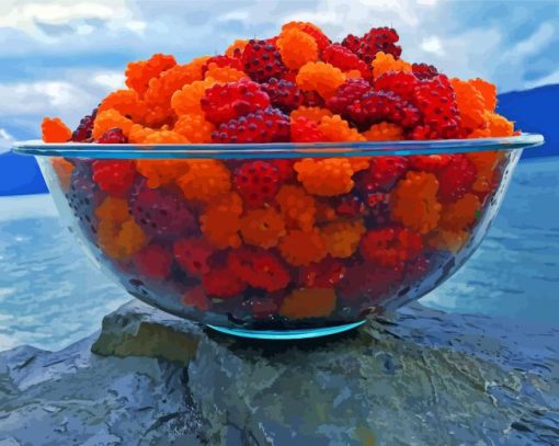 Salmonberry In Bowl paint by number