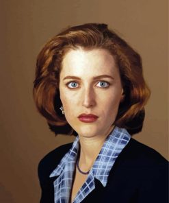 Scully paint by number