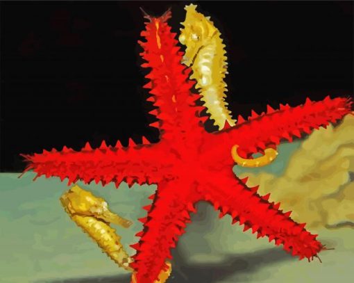 Seahorses Starfish paint by number