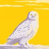 Snowy White Owl paint by number