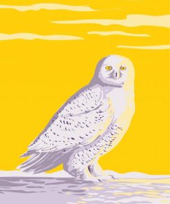 Snowy White Owl paint by number