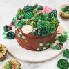 Succulent Dessert Cake paint by number