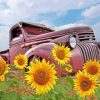 Sunflower And Old Farm Truck paint by number