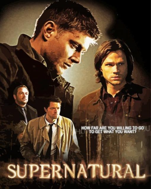 Supernatural Poster paint by number