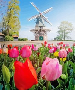 Tulpen En Molen paint by number