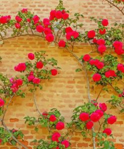 Wall Of Roses paint by number