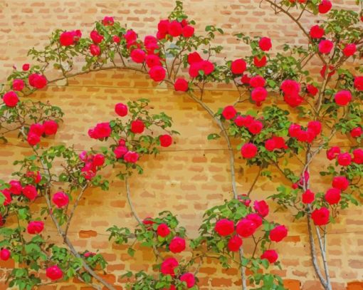 Wall Of Roses paint by number