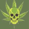 Weed Skull paint by number