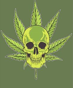 Weed Skull paint by number