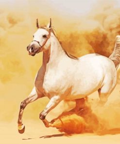 White Arabian Horse In Desert paint by number