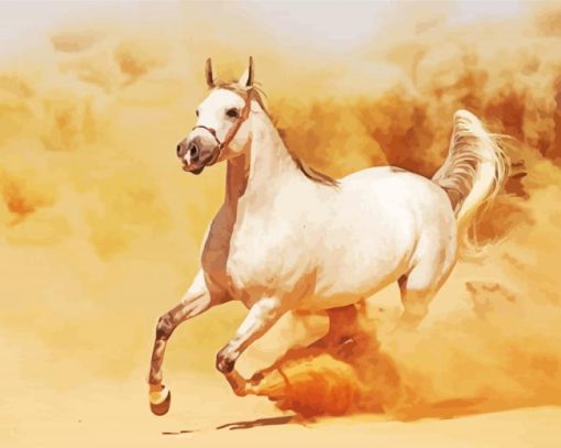 White Arabian Horse In Desert paint by number