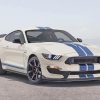 White And Blue Mustang Ford Car paint by number