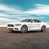 White Ford Mustang paint by number