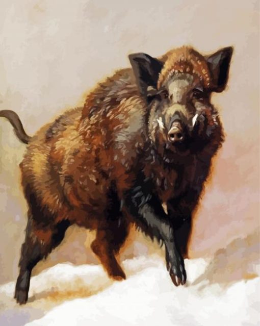 Wild Pig paint by number