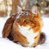 Winter Cat paint by number