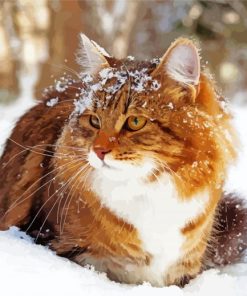 Winter Cat paint by number